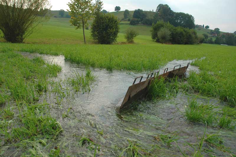 Wässermatten irrigated meadows in Oberaargau