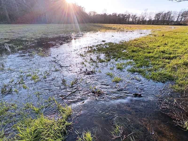 Het Lankheet - Picture Eric Brinckmann 