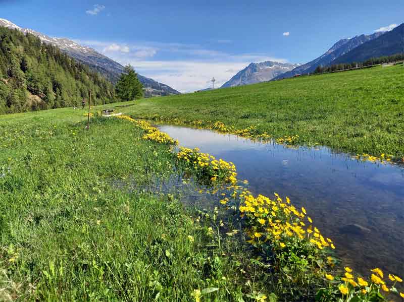 Malser Haide South Tyrol